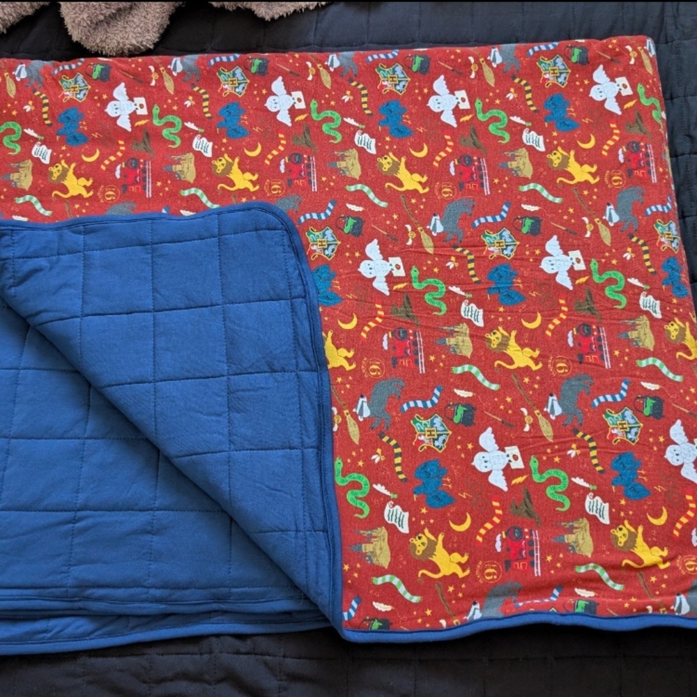 Little Sleepies Custom Harry Potter Quilt